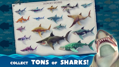 Hungry Shark World Screenshot 2