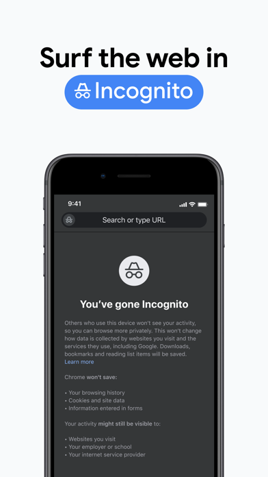 Google Chrome Screenshot 7