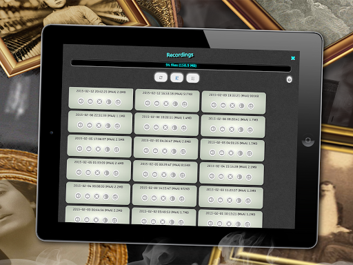 Ghost Radio: EVP Spirit Box Screenshot 10