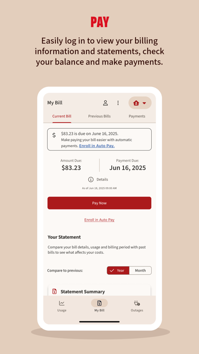 Xcel Energy Screenshot 2