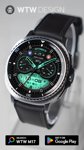 WTW M17 Hybrid Watch Face Screenshot 1
