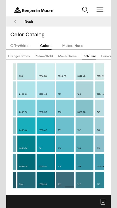 Color Portfolio Screenshot 4