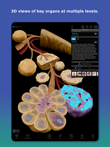Human Anatomy Atlas 2026 Screenshot 7