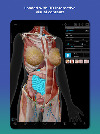 Human Anatomy Atlas 2026 Screenshot 6