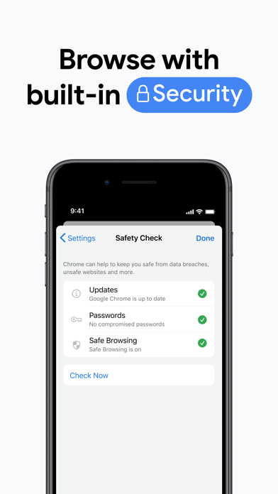Google Chrome Screenshot 8