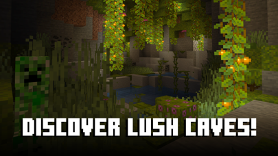 Minecraft: Dream it, Build it! Screenshot 7