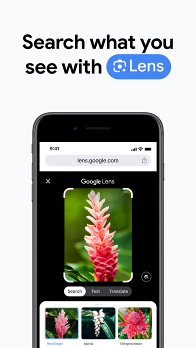 Google Chrome Screenshot 2