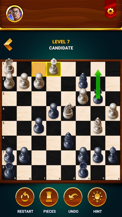 Chess - Offline Board Game Screenshot 5
