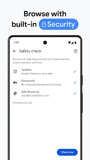 Google Chrome Screenshot 2