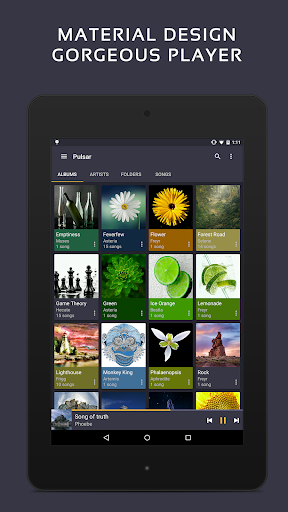 Pulsar Music Player Pro Screenshot 6