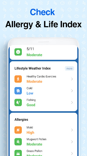 Weather Screen - Forecast Screenshot 5