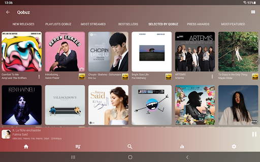 USB Audio Player PRO Screenshot 10