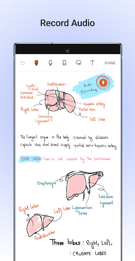 Noteshelf - Notes, Annotations Screenshot 3