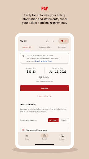 Xcel Energy Screenshot 1