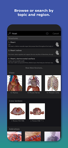 Human Anatomy Atlas 2026 Screenshot 3