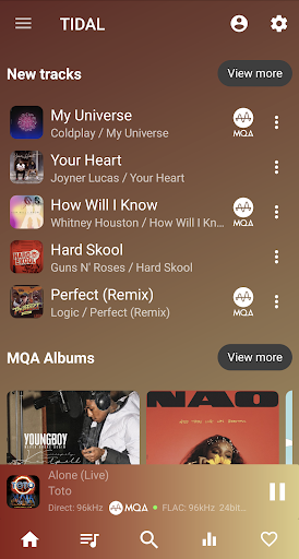 USB Audio Player PRO Screenshot 14