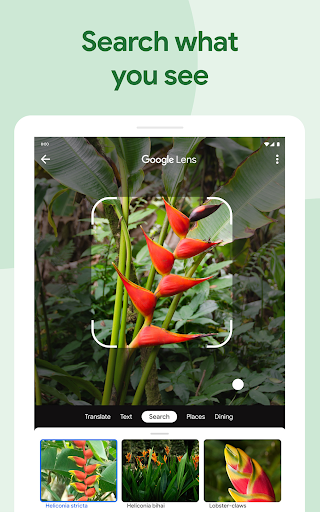 Google Photos Screenshot 14
