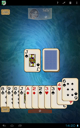 Gin Rummy Pro Screenshot 11