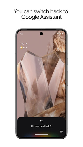 Google Assistant Screenshot 1