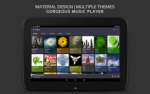 Pulsar Music Player Pro Screenshot 5