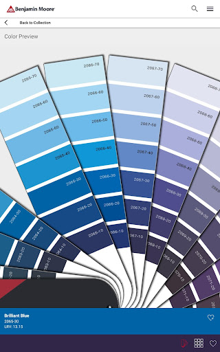 Color Portfolio Screenshot 13