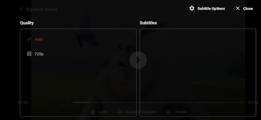 ZoZo Player - URL Video Player Screenshot 7