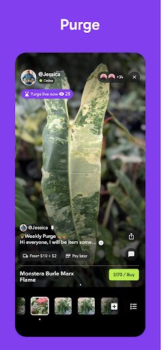 Palmstreet: Buy & Sell LIVE Screenshot 1
