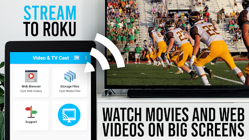TV Cast Pro for Roku Screenshot 2