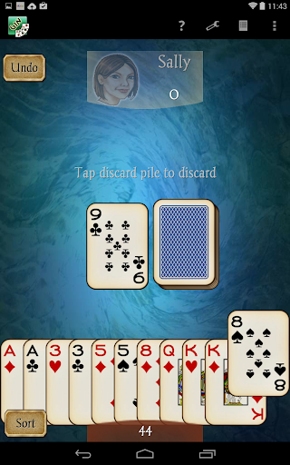 Gin Rummy Pro Screenshot 17