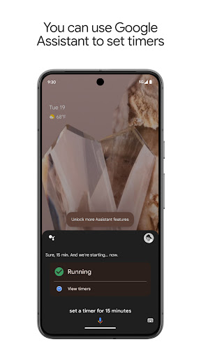 Google Assistant Screenshot 2