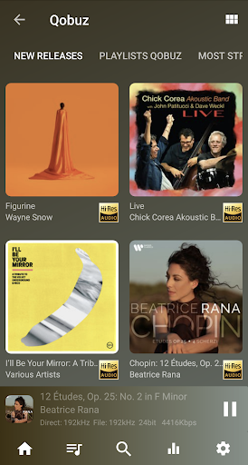 USB Audio Player PRO Screenshot 13