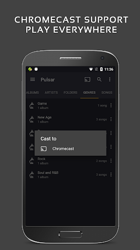Pulsar Music Player Pro Screenshot 11
