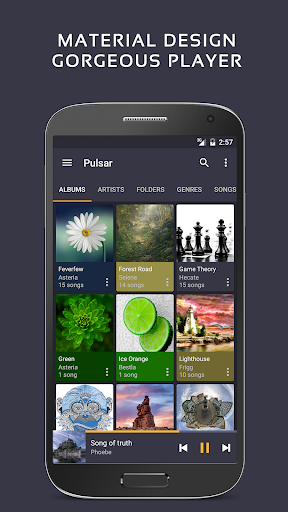 Pulsar Music Player Pro Screenshot 7