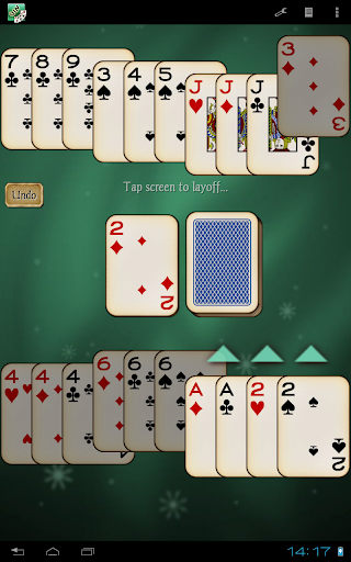 Gin Rummy Pro Screenshot 13