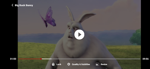 ZoZo Player - URL Video Player Screenshot 1
