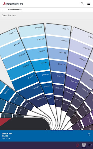 Color Portfolio Screenshot 10