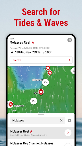 Windfinder Pro: Wind & Weather Screenshot 1