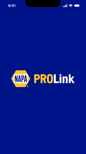 NAPA PROLink Screenshot 2