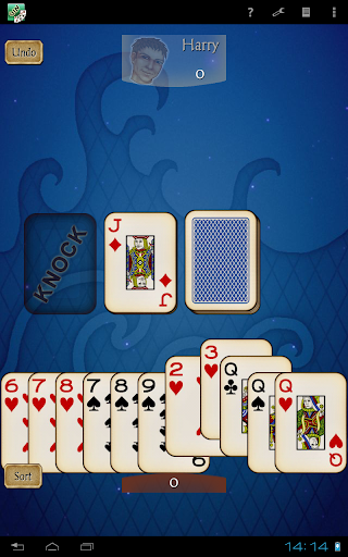 Gin Rummy Pro Screenshot 14