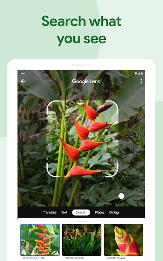 Google Photos Screenshot 9