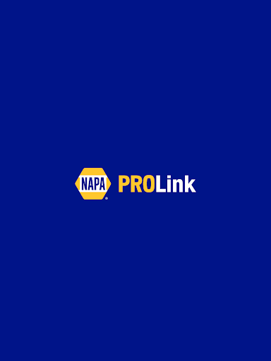 NAPA PROLink Screenshot 5