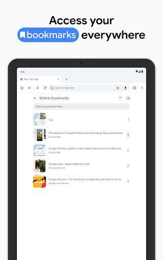 Google Chrome Screenshot 16