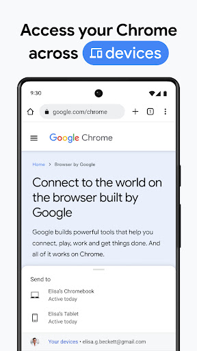 Google Chrome Screenshot 22