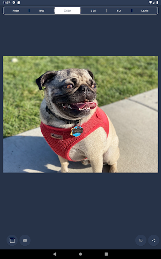NotanIzer Screenshot 16