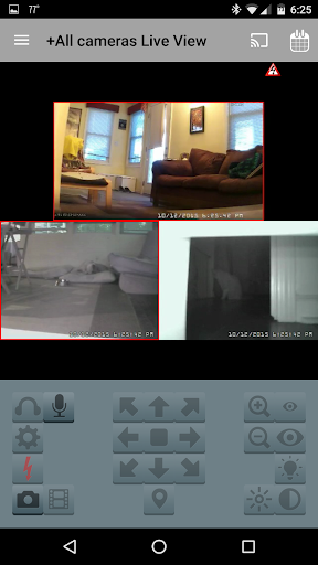 Blue Iris Screenshot 3