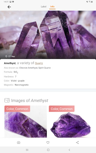 Rock Identifier: Stone ID Screenshot 4
