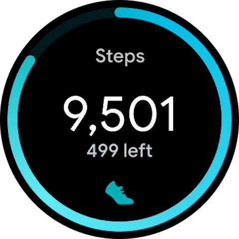 Fitbit Screenshot 6