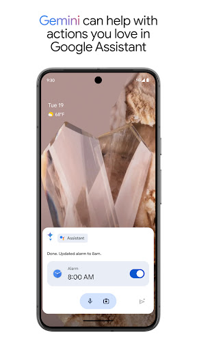 Google Assistant Screenshot 6